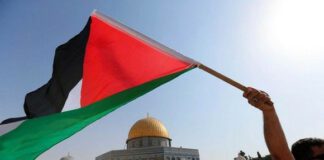 ONU: La 4e Commission a adopté une série de projets de résolution en faveur de la Palestine