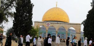 Palestine: L’ONU condamne les attaques de colonscontre des Palestiniens à Al Khalil