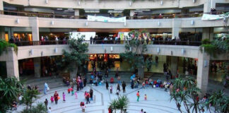 68e anniversaire de la Révolution de libération nationale: Activités culturelles et réouverture de la Bibliothèque du livre et de la connaissance à Riadh El Feth