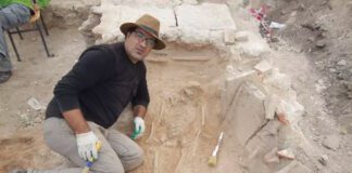 Guelma: Présentation de nouvelles découvertes archéologiques