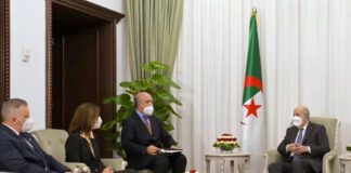 Algérie-Slovénie: Le Président Tebboune reçoit la vice-Première ministre et ministre des Affaires étrangères de la République de Slovénie