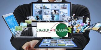 Micro-entreprises: L’ANADE et l’ANGEM rattachées au ministère de l’Economie de la connaissance