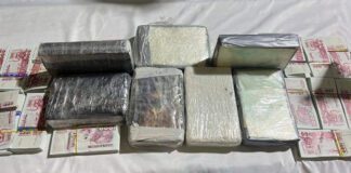 Port d’Alger: Saisie de 7,6 kg de cocaïne et 1,8 millions DA de faux billets