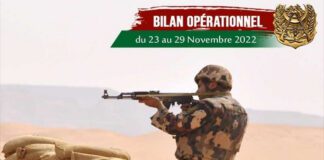 ANP: 9 éléments de soutien aux groupes terroristes arrêtés en une semaine