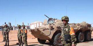 Plusieurs tentatives d’introduction de kif marocain mises en échec par les forces de l’ANP: Un engagement infaillible dans la protection des frontières