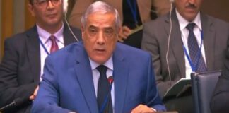 Conseil de sécurité: Larbaoui appelle à remédier à l’injustice historique dont l’Afrique a été victime