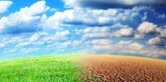 Face aux changements climatiques: L’Afrique fortement, touchée bien que non responsable, doit parler d’une même voix