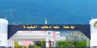 Catastrophes naturelles: L’Algérie a réalisé des progrès remarquables en matière de télédétection