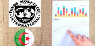 FMI: Le rapport du Fonds monétaire international du 21 novembre 2022 et les défis de l’économie algérienne