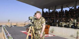 Il a été supervisé par le général d’armée, Saïd Chanegriha: Exercice tactique avec munitions réelles à In Amenas