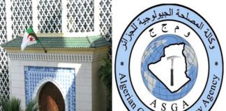 Organisation des services géologiques africains: L’Algérie a pris part aux travaux de la 14e AG