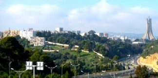 Guerre de Libération nationale: Un journal pakistanais consacre un Spécial Algérie