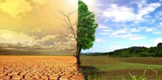 Face aux changements climatiques: Une stratégie collective pour l’Afrique