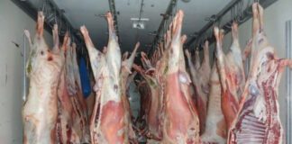 Agriculture: Des mesures immédiates pour régulerla filière des viandes rouges