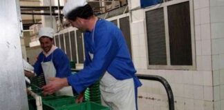 Bouira: Prochain lancement des travaux de réalisation d’une unité de production de lait