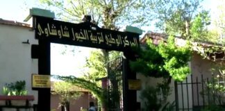 Tiaret: La ferme pilote Chaouchaoua établit un partenariat pour la production de viandes rouges et du lait