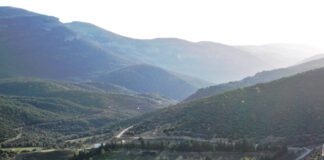 Khenchela: Récupération de 59 hectares du foncier industriel inexploité