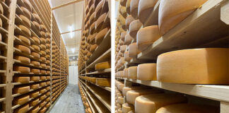 Tizi-Ouzou: 2e édition du Festival international du fromage en mars 2023