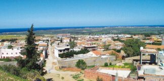 Béjaïa: Des modules caprins au bénéfice de plusieurs femmes rurales