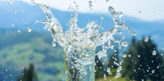 L’importance de l’eau et comment boire correctement