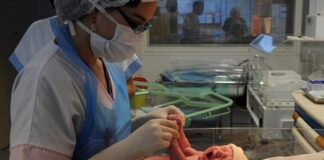 Santé: Alger organise une journée d’étude sur la promotion de l’activité des sages-femmes