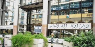 Agriculture: Création d’un Conseil interprofessionnel de l’élevage bovin au 1er trimestre de 2023