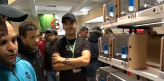 Oran: Près de 70 participants à la 2e édition du salon des oiseaux d’ornement