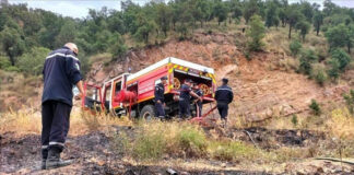 Souk Ahras: Action de solidarité avec les enfants de familles victimes des incendies de l’été passé