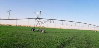 Agriculture: Plus de 200.000 ha de terres agricoles aménagées pour leur distribution aux investisseurs dans le sud du pays