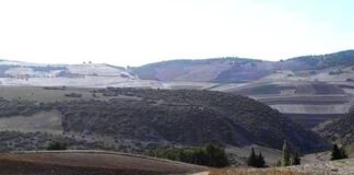 Souk Ahras: Appel à localiser de grands projets industriels dans la ZI de M’daourouche