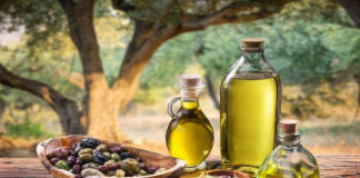 Médéa: Une hausse de la production d’huile d’olive prévue cette saison