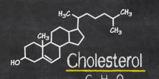 Cholestérol : Les meilleurs conseils pour le réduire et rester en bonne santé