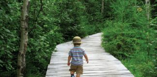 L’exposition aux environnements naturels bénéfique pour la santé humaine