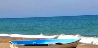 Aïn Témouchent: Démantèlement d’un réseau spécialisé dans l’organisation des traversées maritimes clandestines