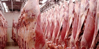 L’Office Régional des Viandes de l’Ouest prévoit de commercialiser 18 tonnes de viandes rouges pour l’Aïd El Adha.