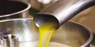 Aïn Defla: Production prévisionnelle de plus d’un million de litres d’huile d’olive