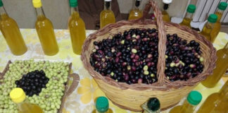 Béjaïa: Plus de quatre millions de litres d’huile d’olive déjà produits
