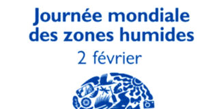 Journée mondiale des zones humides: Diverses activités organisées à Oran, Mascara et Tiaret
