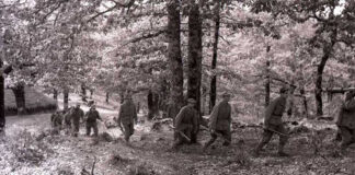 Sétif: Le chahid Laïd El Dahoui, le Fidaï qui semait la panique dans les rangs colonialistes