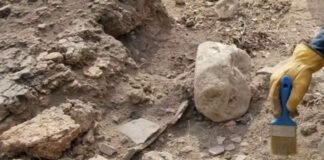 Chlef: La préservation des biens archéologiques soulignée