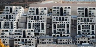 Palestine: Washington et ses alliés s’opposent fermement à la légalisation des colonies sionistes