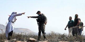 Palestine: Les attaques des colons visent à saper les efforts de paix