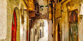 Journée nationale de la Casbah: «La chéchia algérienne» mise en lumière au Musée des arts et des traditions populaires