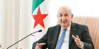 Financement de projets de développement en Afrique: Tebboune octroie un milliard de dollars