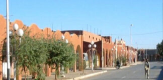 En vue de relancer le développement suivant une approche participative et constructive: Un intérêt particulier pour le développement des wilayas du Sud