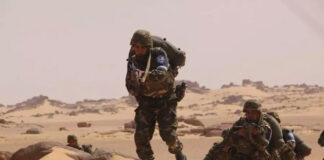 Sécurité des frontières et lutte contre le terrorisme: De nouvelles performances à l’actif des forces de l’ANP