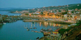 El Tarf: Neuf autorisations d’exploitation délivrées à des investisseurs