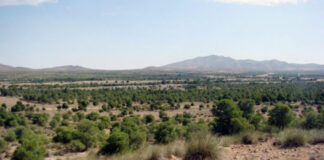Médéa: Les travaux de réhabilitation du barrage vert lancés