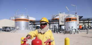 Double anniversaire du 24 février: Activités plurielles pour célébrer l’évènement dans les wilayas de l’Ouest du pays