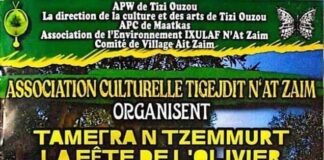 Tizi-Ouzou: Coup d’envoi de la 9e édition de la fête de l’olivier de Maâtkas